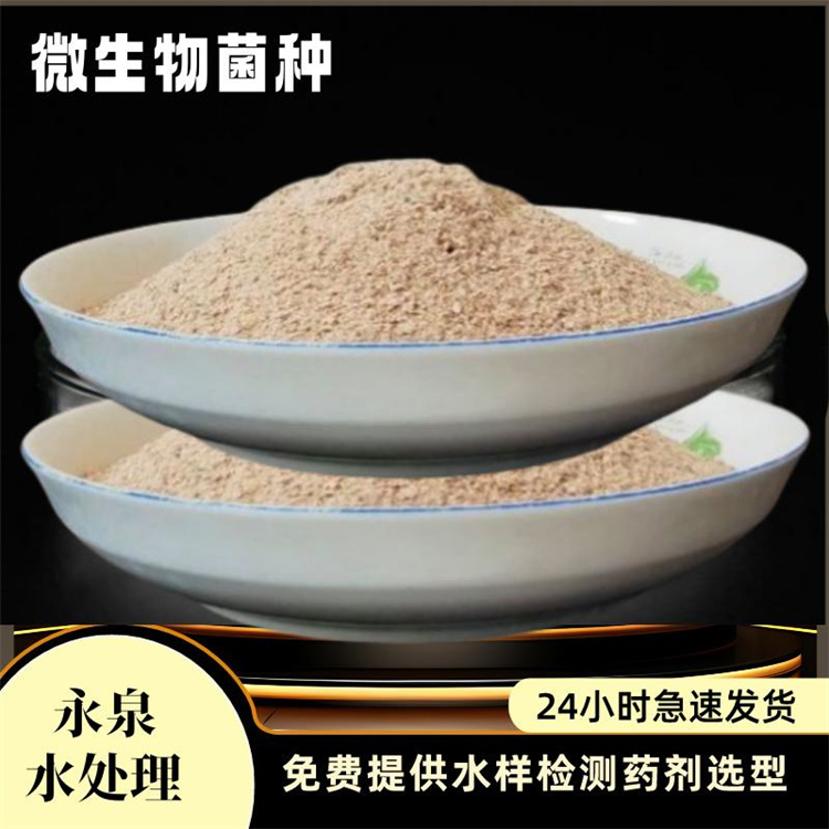 Ӱ푰����Ϳ�����������������Щ��